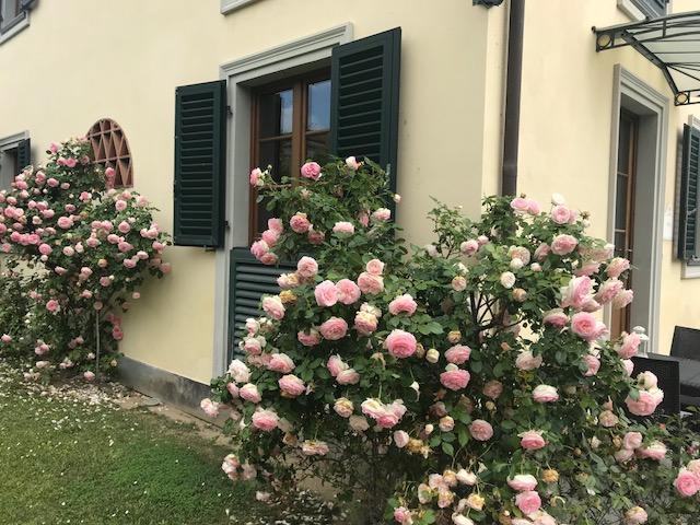Residence Prunali Massarosa Εξωτερικό φωτογραφία